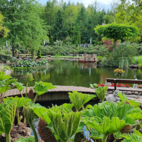 Bustur til Kongsdal Åben Have