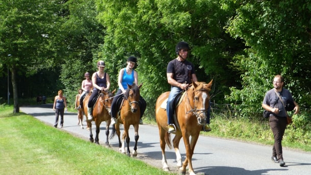 Guidet ridetur ved Bogense