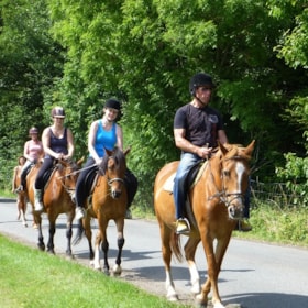 Horseback riding from Bogense