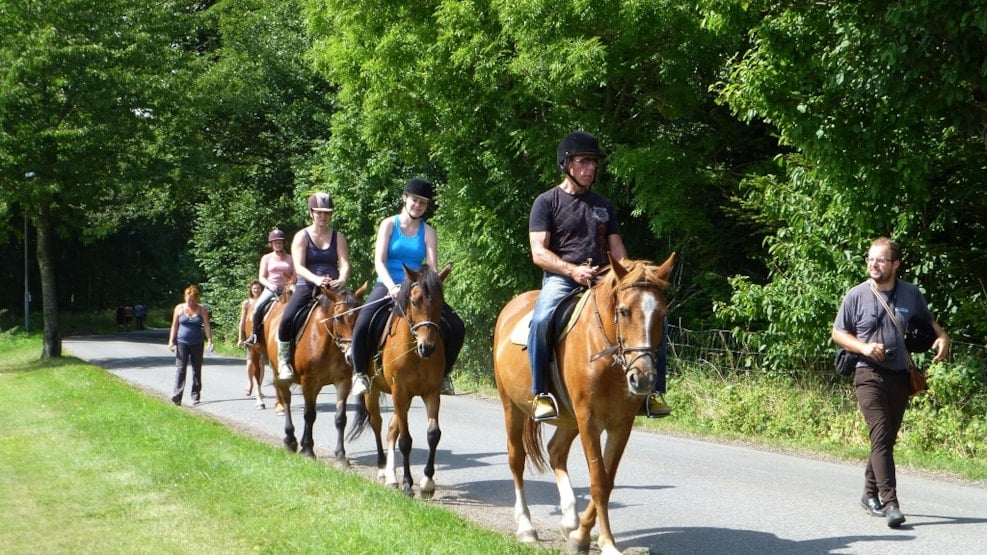 Horseback riding from Bogense