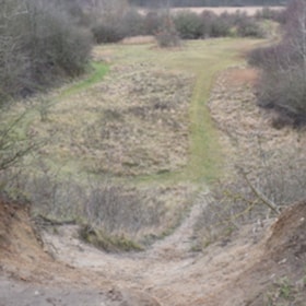 5. stop: The Red Clover Path - Nature and Movement