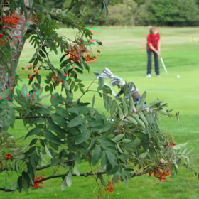 Sct. Knuds Golfklub, Golfplätze