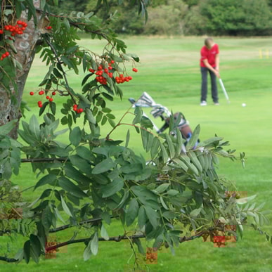 Sct. Knuds Golfklub, golfclub