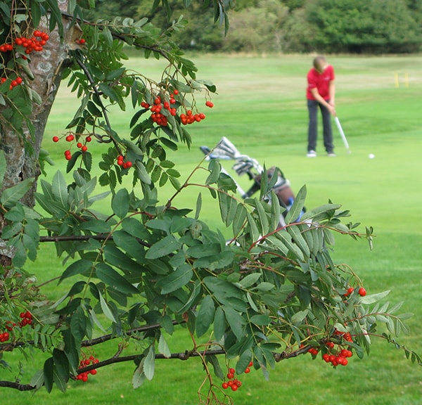 Sct. Knuds Golfklub