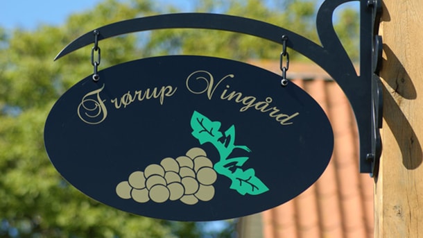 Frørup Vingård, Weingut