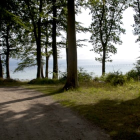Tilework Forest and Strandhøj (6 km)