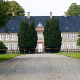 6. stop: The Black Clover Path - Juelsberg Estate