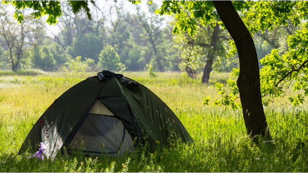 Tentsites at Blankenborgvej