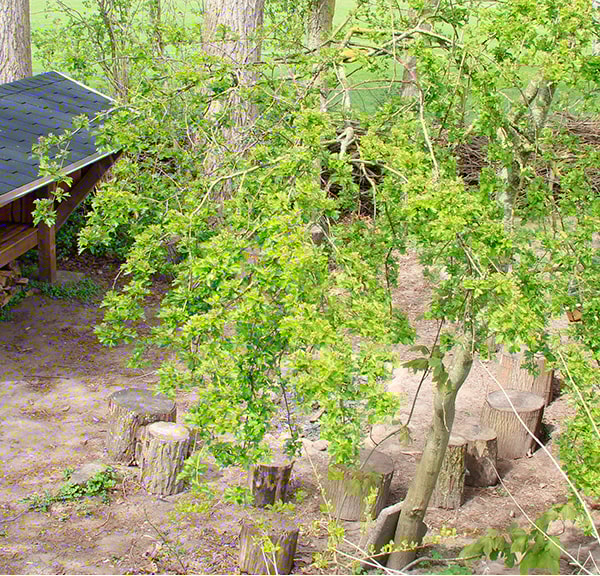 Shelter at Refsvindinge Natur og Kulturcenter