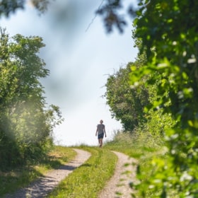 Rød Kløversti Nyborg (7,2 km)