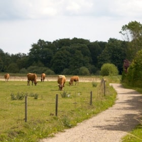 Bauernmoor (2,6 km)