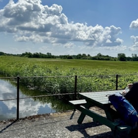Hjulby Mose (3,5 km)