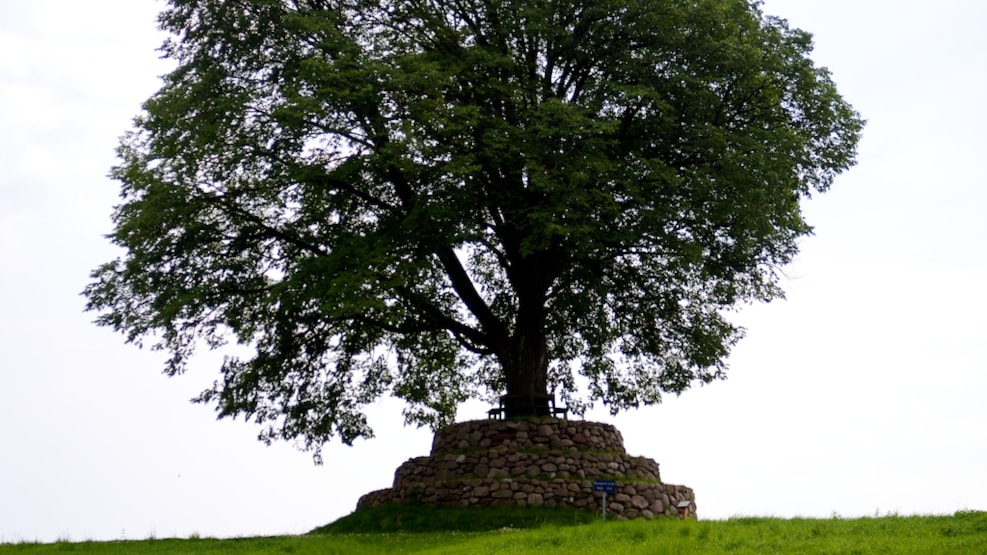 Degnens Høj, Teacher's Hill