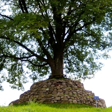 Bondemose og "pyramide" (26,2 km)