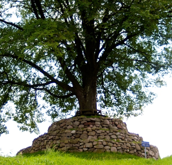 Bondemose og "pyramide" (26,2 km)