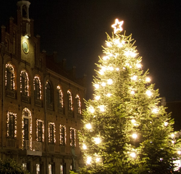 Der große Weihnachtsbaum auf dem Marktplatz wird feierlich erleuchtet
