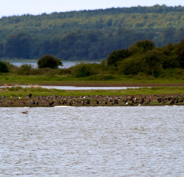 Sechs schöne Angelplätze