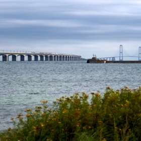 Mellem fjord og bælt i Nyborg (21,7 km)