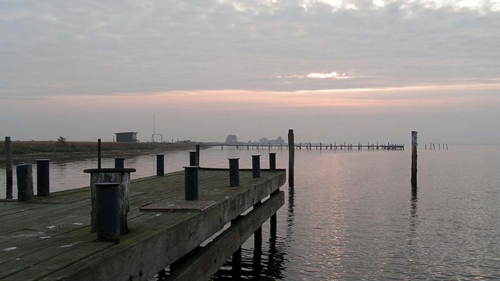 Inshore fishing - Ålehovede, east of Albuen