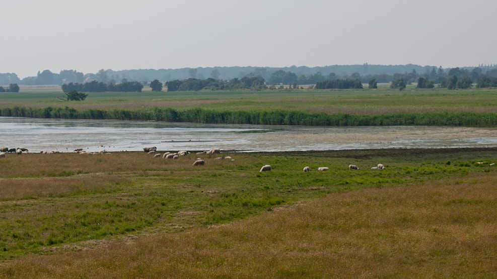 Inshore fishing - Bøtø Skov