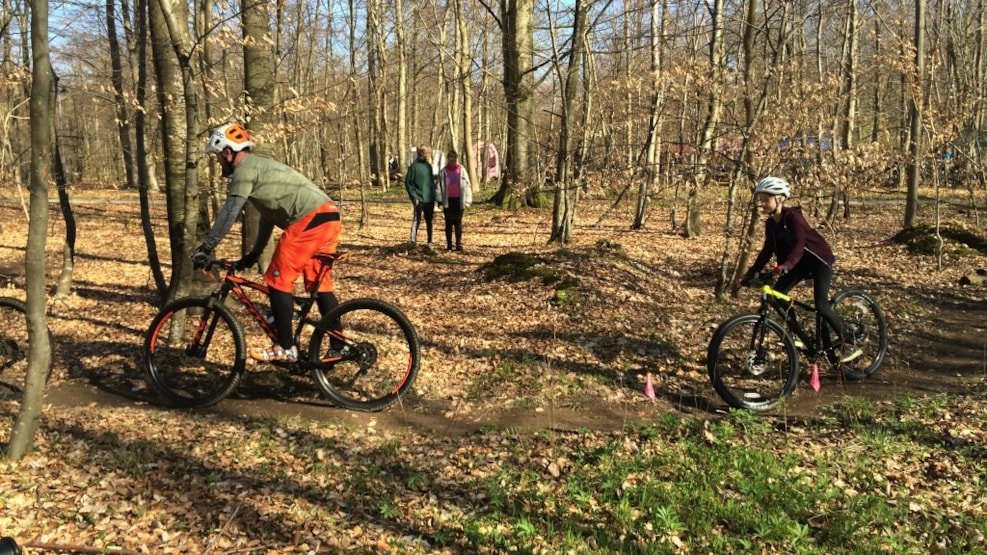 Biking Trip: Trailstars Falster MTB - The Bangsebro forrest