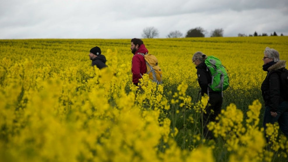 Hiking route: The Danish Monastery Route