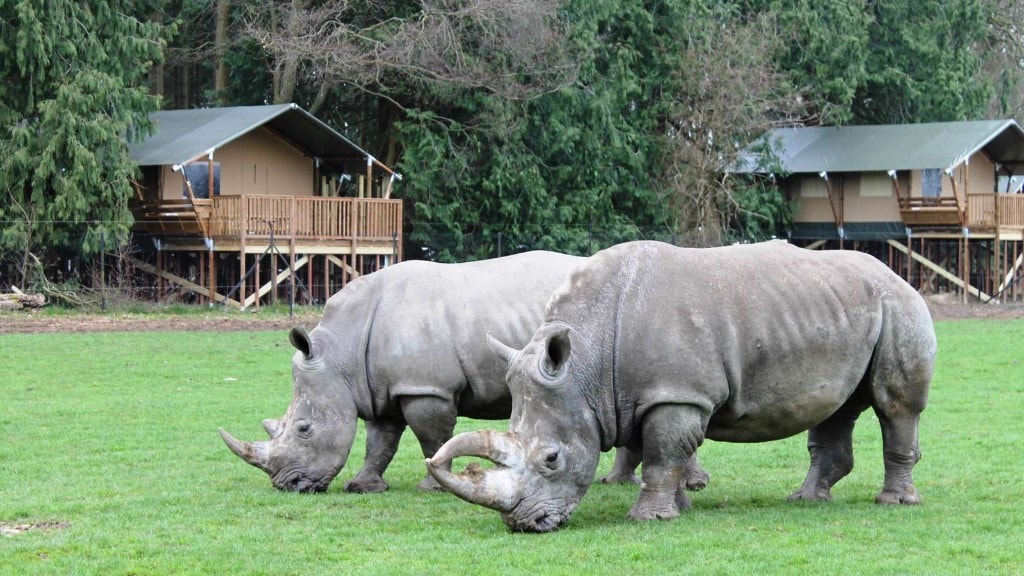 knuthenborg dinosaur park