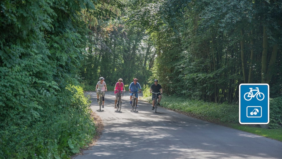 Cycle route: The Nordic Grape - 51 km