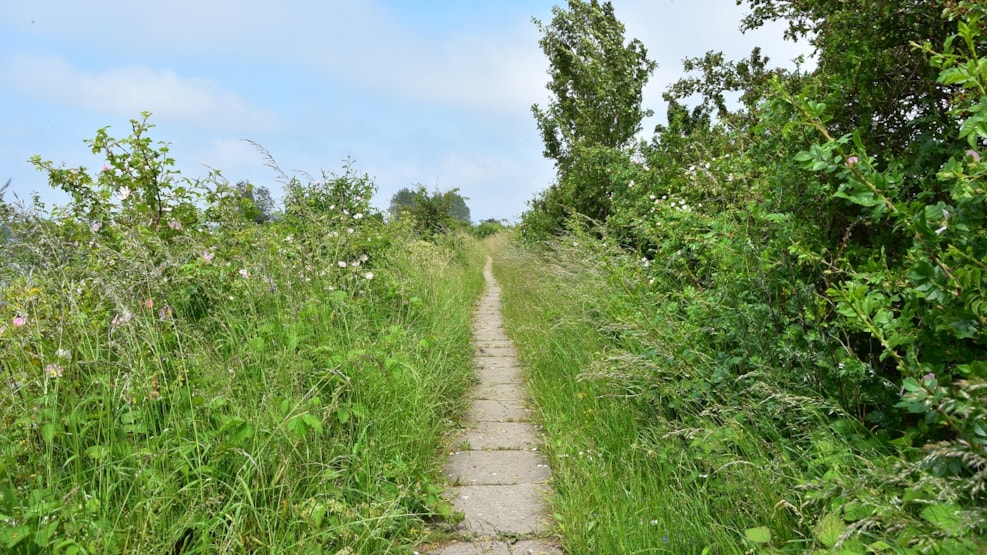 Hiking route: Hasselø Natursti - 2,5 km