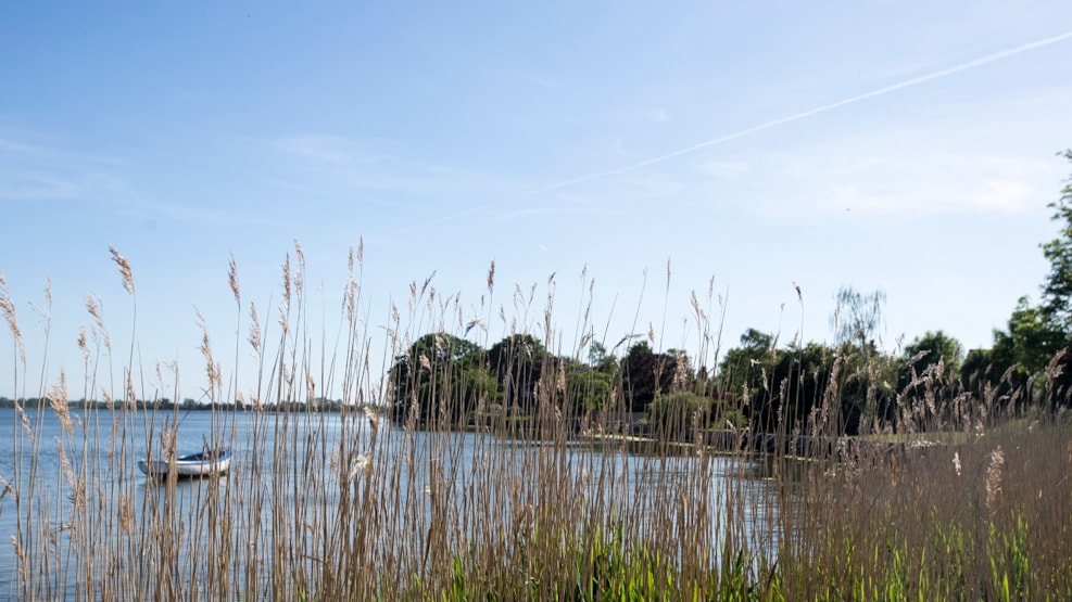 Hiking route: The Lake Shore on Foot - 5 km