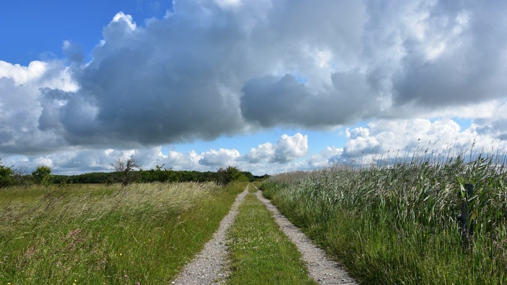 Hiking route: Saksfjed-Hyllekrog - 13 km