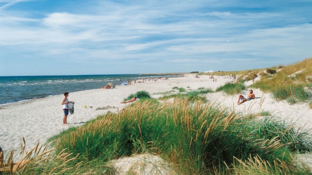 The Beach at Lalandia Rødby