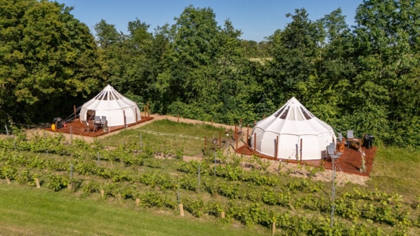 Holmegaard Wein und Glamping