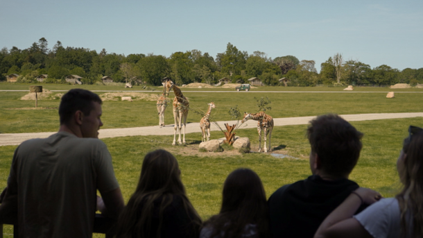 Knuthenborg Safari Camp