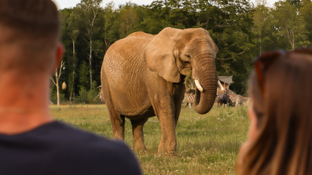 Knuthenborg Safaripark