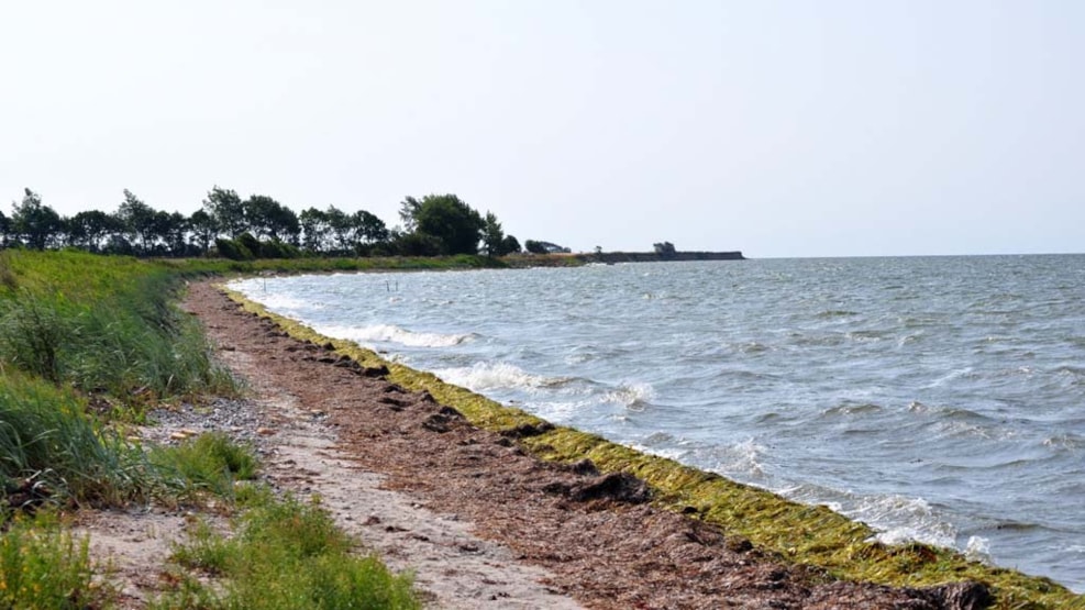 Inshore fishing - Gedsergård bridge, Stavreby