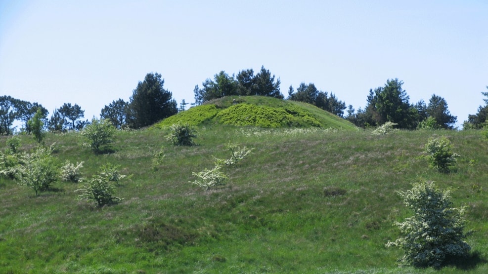 The hillock Galgebakken