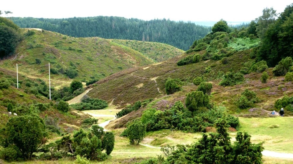 Rebild Bakker National Park