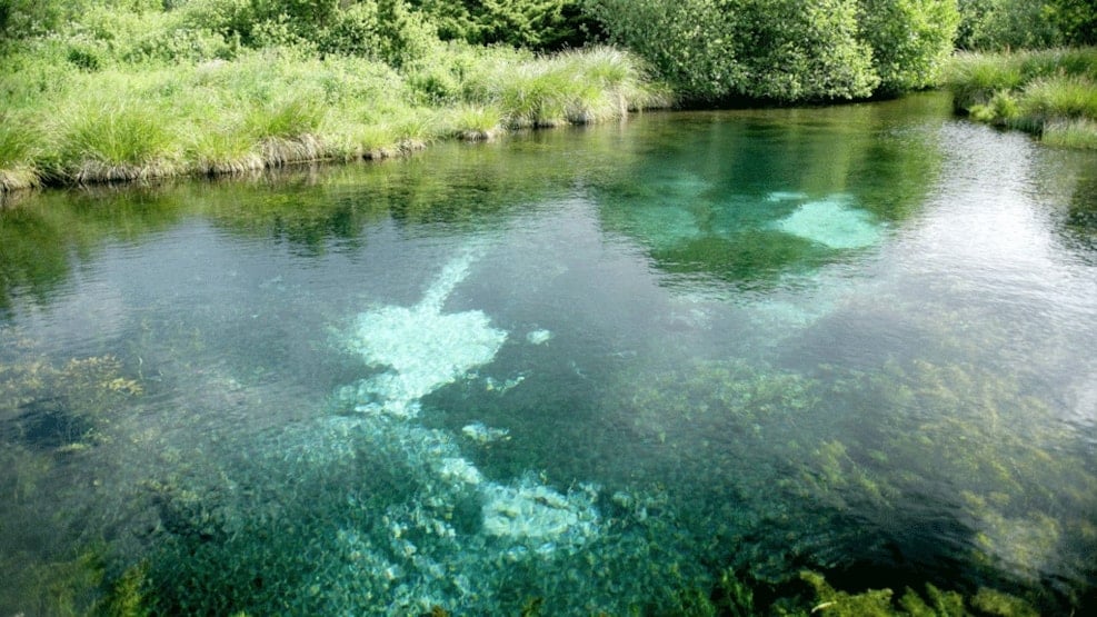 The springs of Rold Forest