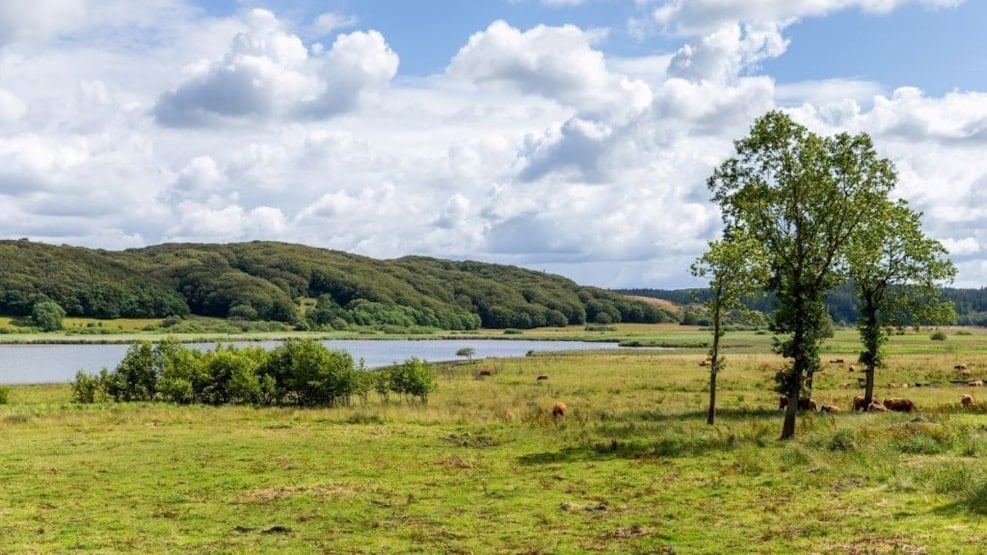 Lindenborg Å and Valley