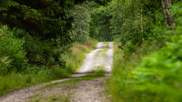 Hærvejsløbet, GRAVEL #Rebild-Viborg