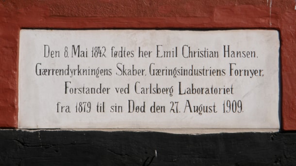Memorial to the scientist Emil Christian Hansen in Ribe