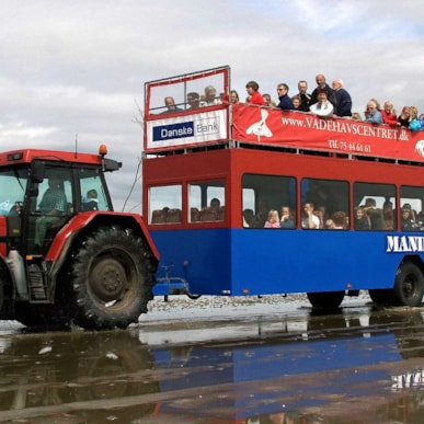 Mandøbussen - tractor bus to Mandø
