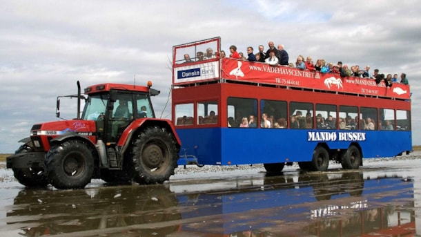 Mandøbussen - tractor bus to Mandø