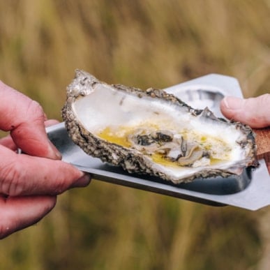 Oyster Market in Toldboden in Ribe