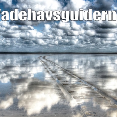 Vadehavsguiderne (The Wadden Sea Guides)