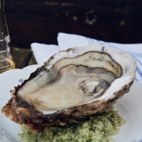 Oysters with the winery's French chef