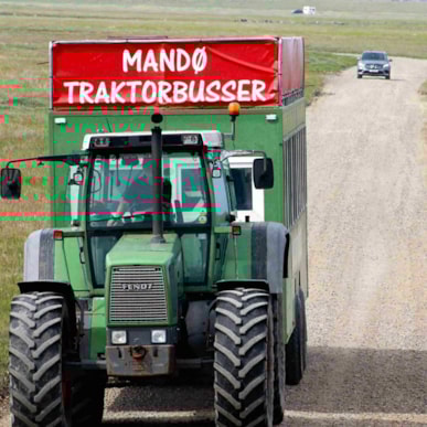 Traktorbus til Mandø