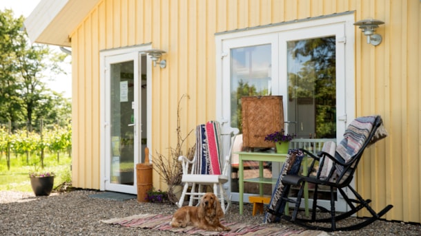 Vester Vedsted Vingård