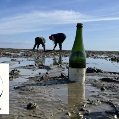 Austern, Champagne und Sauna Aufguss